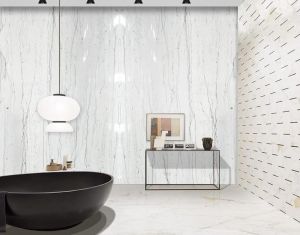 175134223 4402209173123102 n