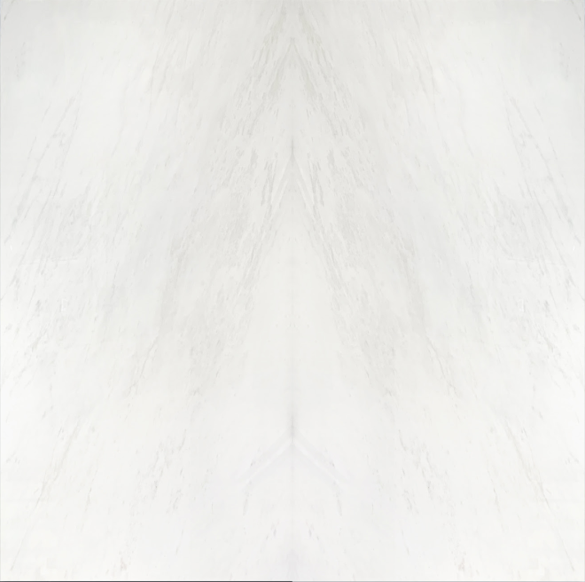 Bookmatched Mediterraneo Bianco Rhino