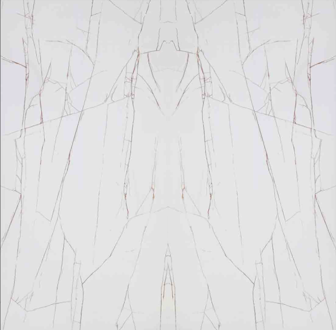 Bookmatched Sahara Blanc 2